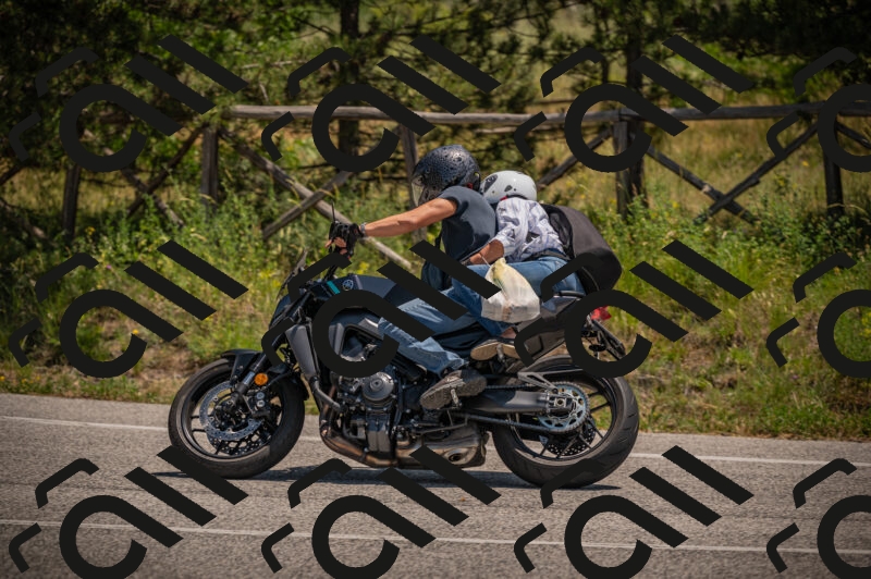 20250614121357-_Z621160_am_