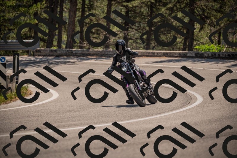 20250614121710-_Z621192_am_