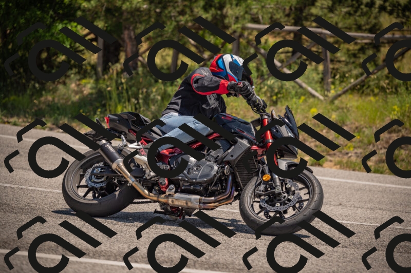 20250614122100-_Z621272_am_