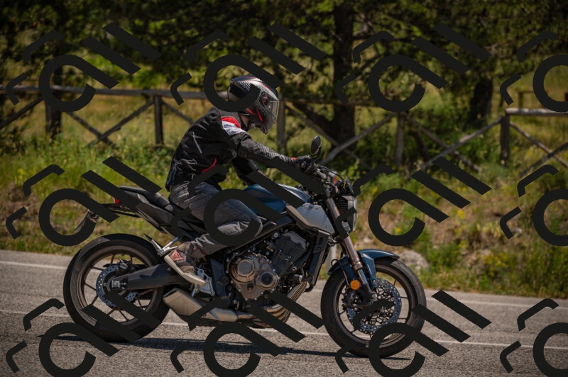 20250614122646-_Z621296_am_