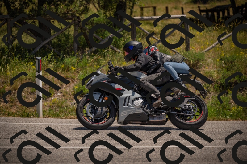 20250614122946-_Z621346_am_