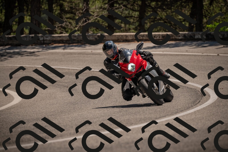 20250614123118-_Z621369_am_