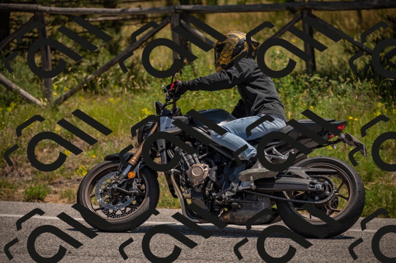 20250614123150-_Z621383_am_