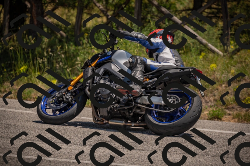 20250614124347-_Z621439_am_