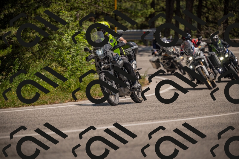 20250614125038-_Z621478_am_