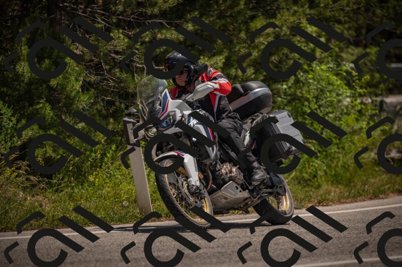 20250614125039-_Z621481_am_