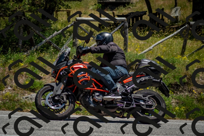 202506141301-DSC_8294_c2