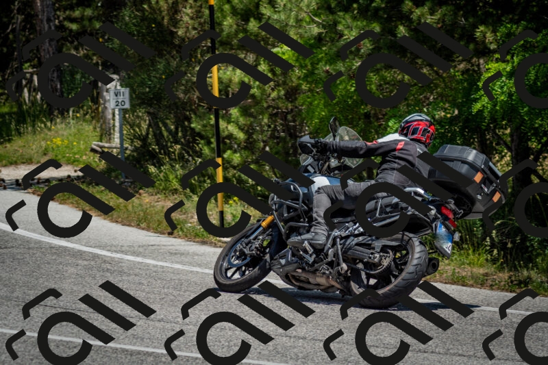 202506141301-DSC_8297_c2