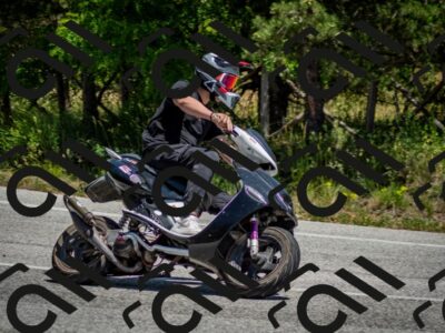 202506141301-DSC_8299_c2