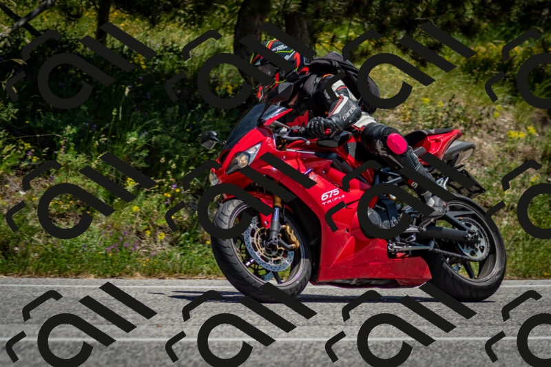 202506141302-DSC_8305_c2