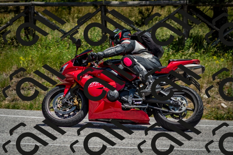 202506141302-DSC_8306_c2