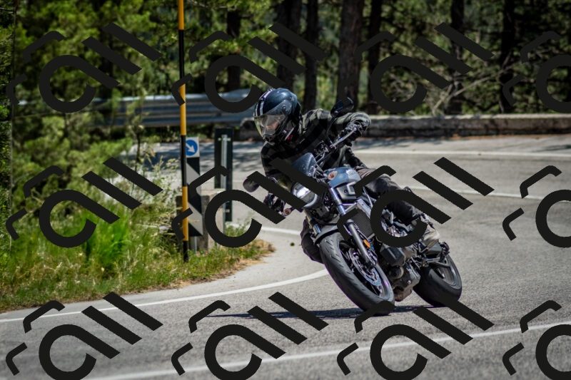 202506141303-DSC_8309_c2