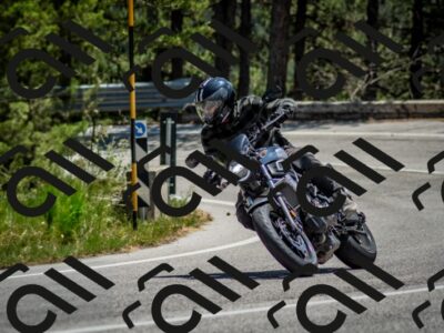 202506141303-DSC_8309_c2