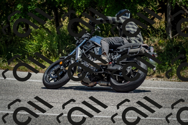 202506141303-DSC_8311_c2