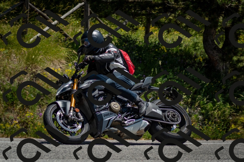 202506141304-DSC_8314_c2