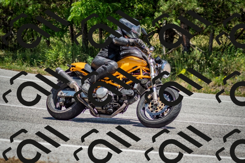 202506141304-DSC_8317_c2