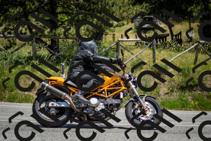 202506141304-DSC_8318_c2