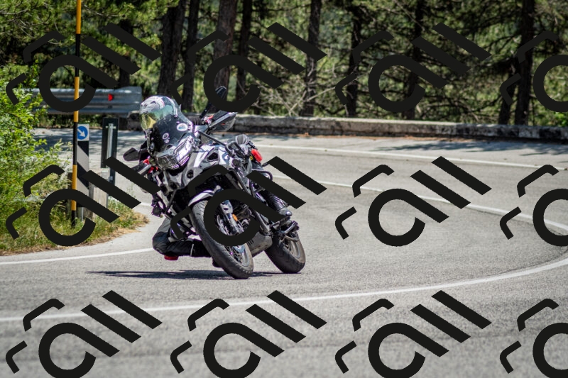 202506141306-DSC_8323_c2