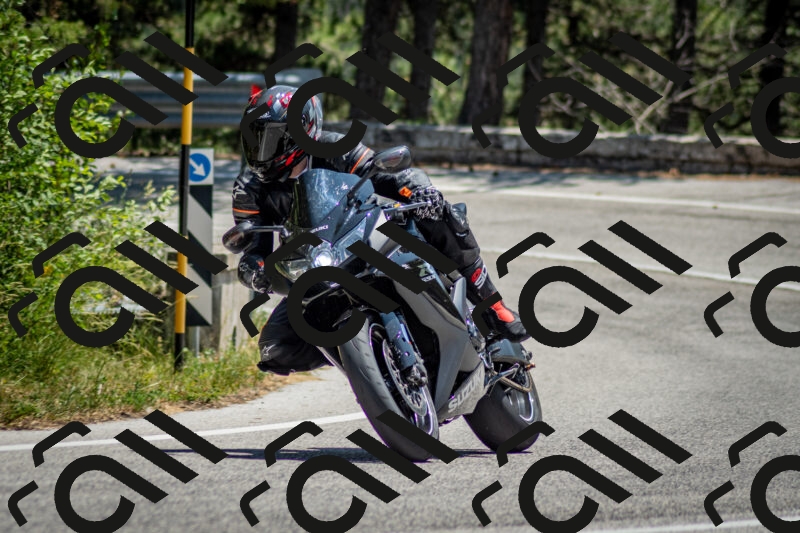 202506141307-DSC_8329_c2