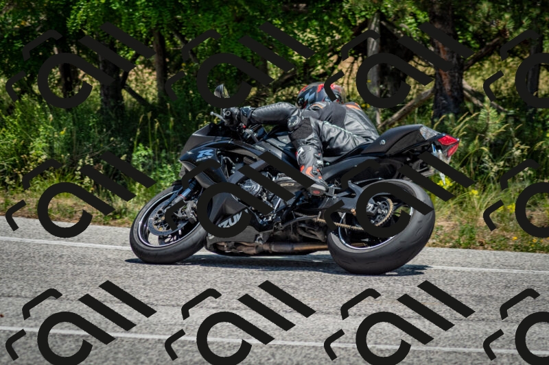 202506141307-DSC_8331_c2