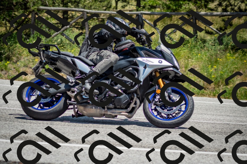 202506141307-DSC_8333_c2