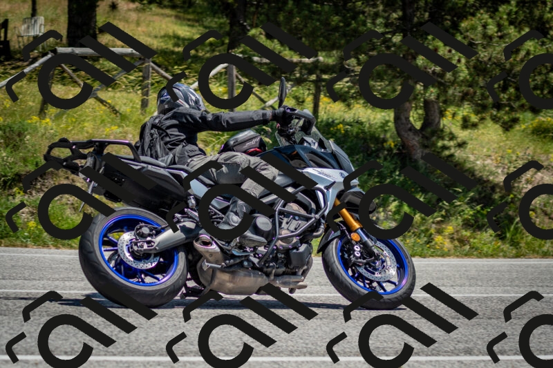 202506141307-DSC_8334_c2