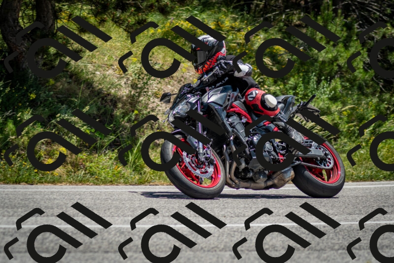 202506141307-DSC_8335_c2