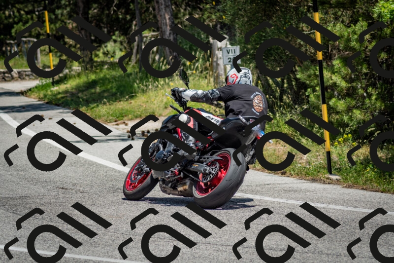 202506141307-DSC_8337_c2