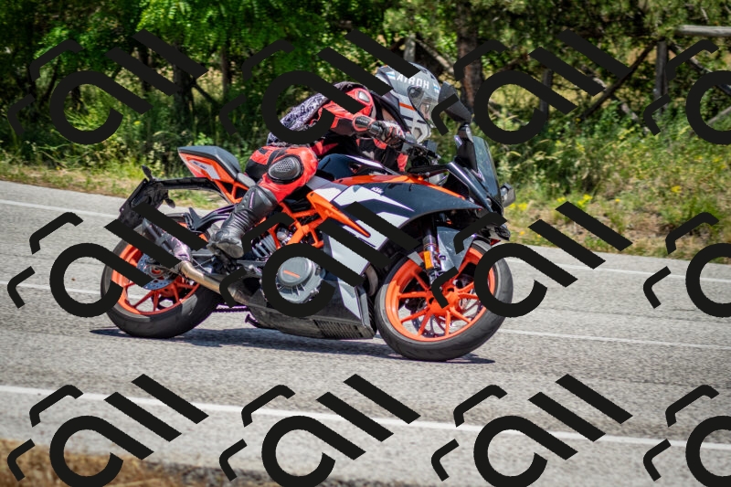 202506141307-DSC_8339_c2