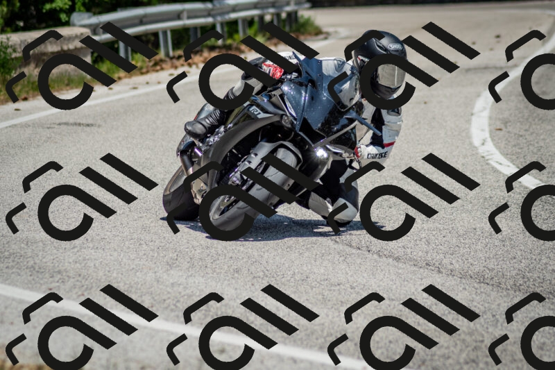 202506141308-DSC_8348_c2