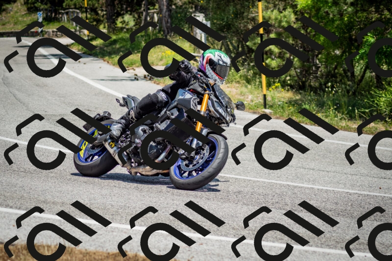 202506141308-DSC_8353_c2