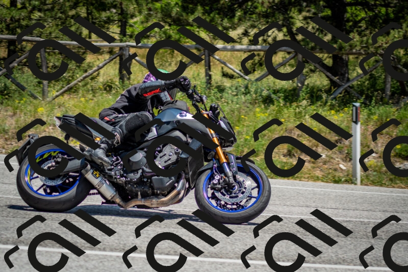 202506141308-DSC_8354_c2