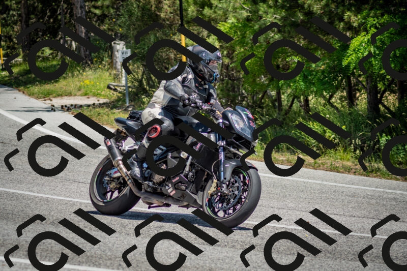 202506141309-DSC_8357_c2