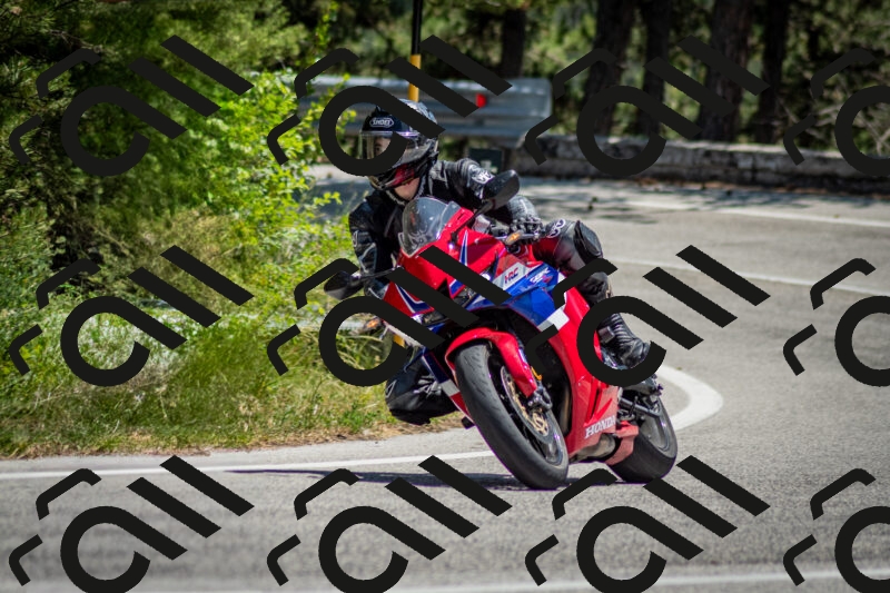 202506141310-DSC_8360_c2