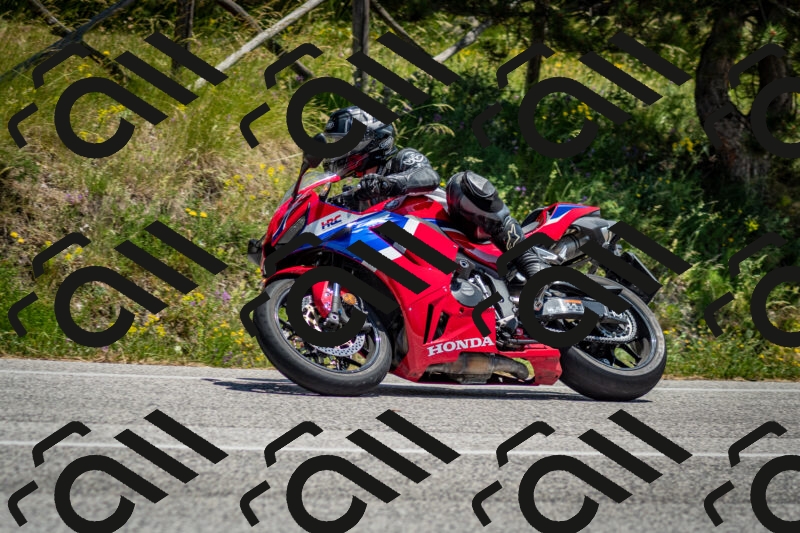 202506141310-DSC_8361_c2