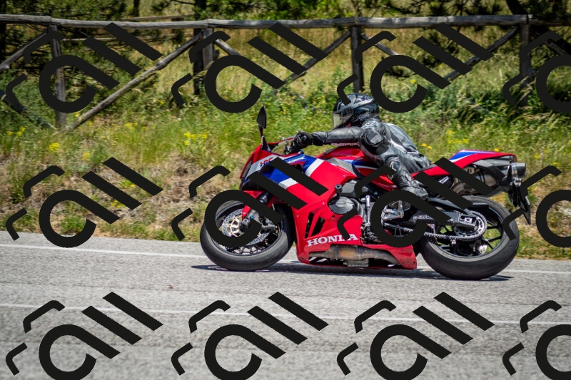 202506141310-DSC_8362_c2