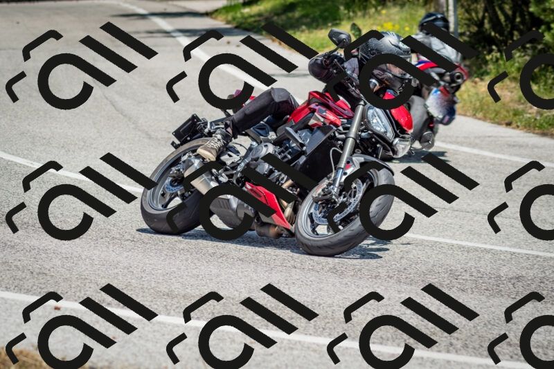 202506141310-DSC_8363_c2