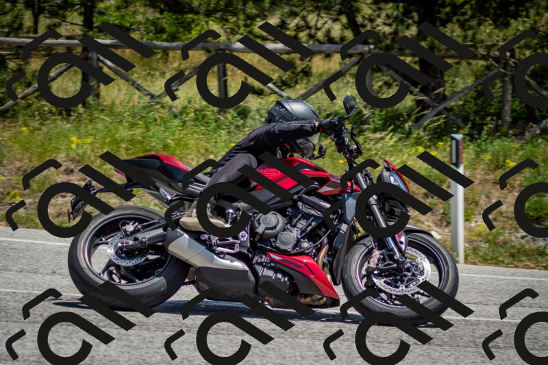 202506141310-DSC_8364_c2