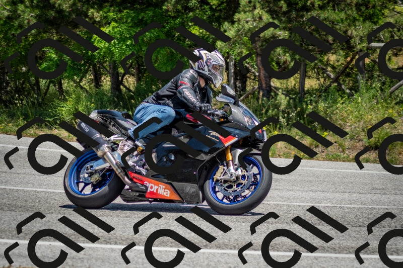 202506141310-DSC_8368_c2