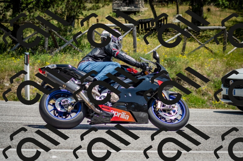 202506141310-DSC_8369_c2