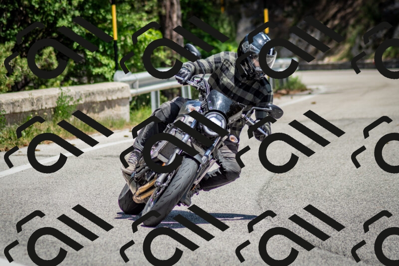 202506141311-DSC_8371_c2