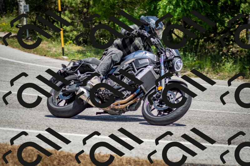 202506141311-DSC_8372_c2