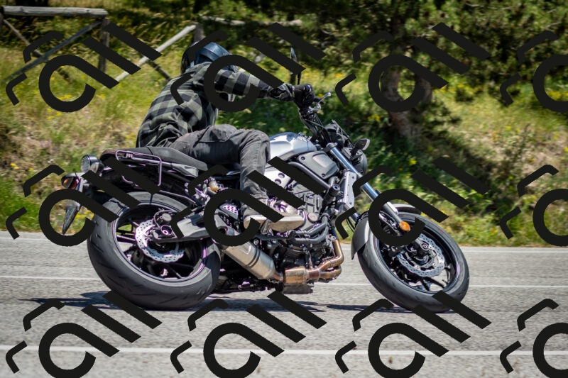 202506141311-DSC_8373_c2