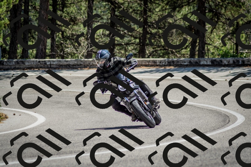 202506141313-DSC_8374_c2