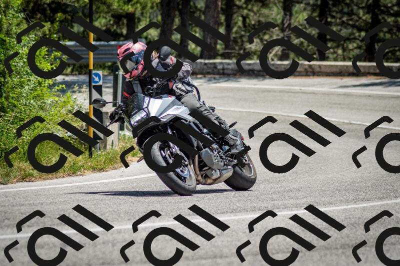 202506141315-DSC_8379_c2