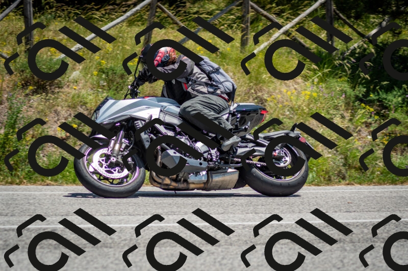 202506141315-DSC_8380_c2