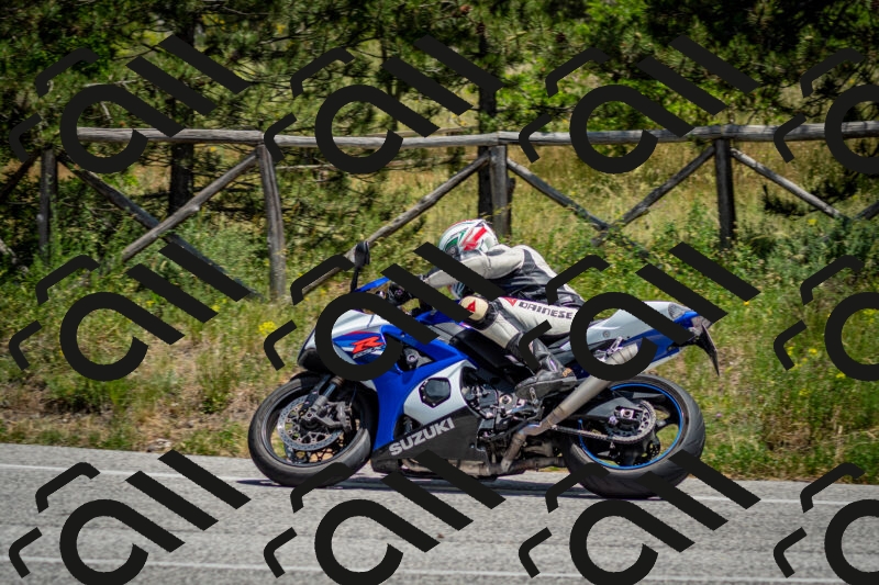 202506141315-DSC_8384_c2