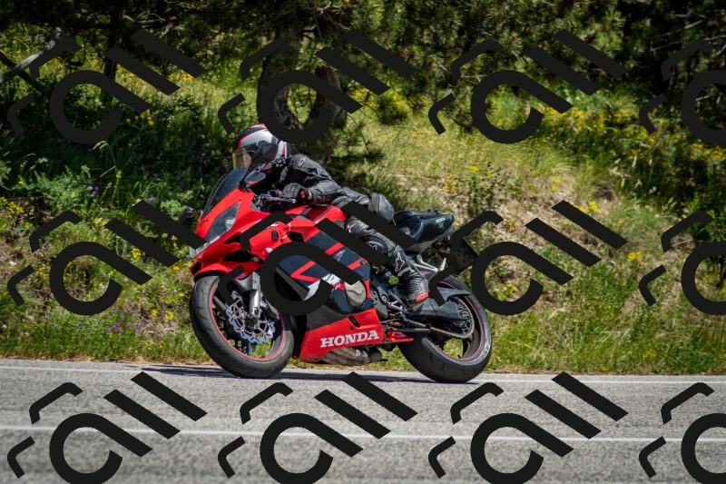 202506141316-DSC_8386_c2