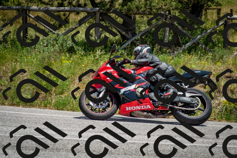 202506141316-DSC_8387_c2