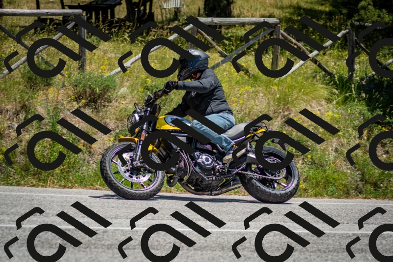 202506141316-DSC_8388_c2